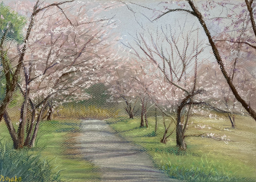 bush cherry_blossoms day grass highres light no_humans norako_pastel original outdoors park path plant reeds shadow tree