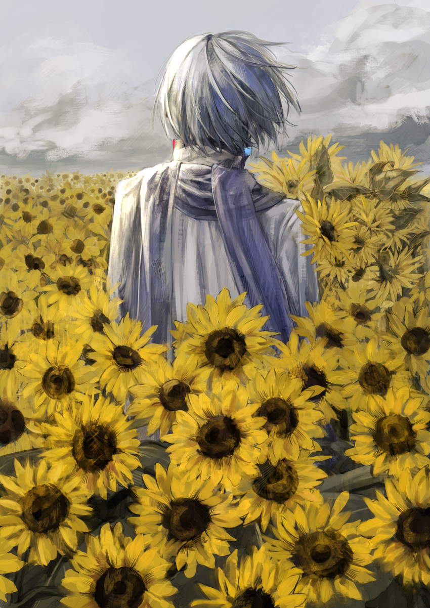 1boy absurdres blue_hair blue_scarf clouds cloudy_sky coat commentary field floating_hair flower flower_field from_behind high_collar highres ill_0619 kaito_(vocaloid) male_focus scarf short_hair sky solo standing sunflower sunflower_field symbol-only_commentary vocaloid white_coat