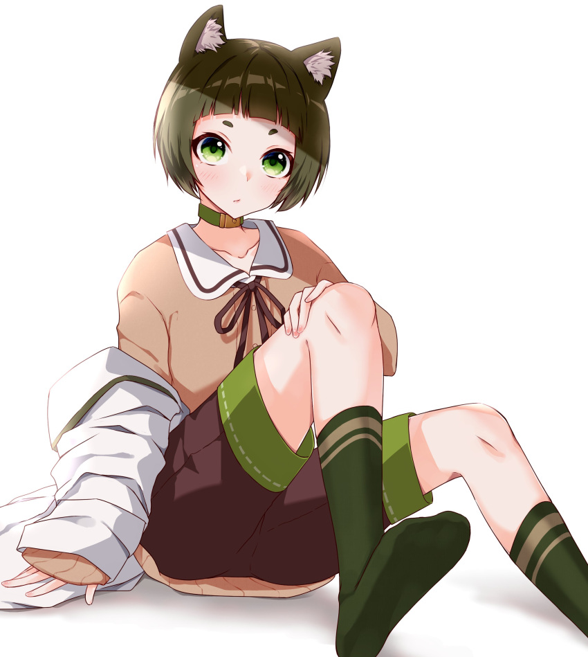 1girl absurdres animare blunt_bangs blush brown_ribbon brown_shirt brown_shorts chukachuka closed_mouth commentary dog_girl expressionless foot_out_of_frame green_eyes green_socks hand_on_own_knee hashiba_natsumi_(animare) highres jacket looking_at_viewer nanashi_inc. neck_ribbon no_shoes ribbon shirt short_bangs short_hair shorts simple_background sitting socks solo symbol-only_commentary thick_eyebrows unworn_jacket virtual_youtuber white_background white_jacket