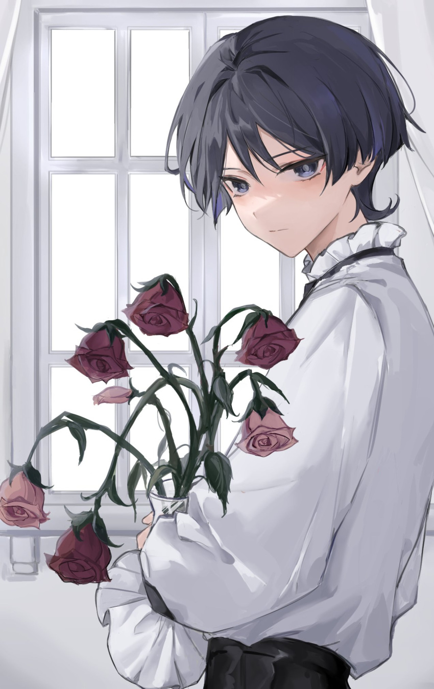 1boy alternate_costume black_hair black_pants closed_mouth curtains flower from_side genshin_impact hair_between_eyes highres holding long_sleeves looking_at_viewer male_focus mnce_o multicolored_hair pants purple_hair red_flower red_rose rose scaramouche_(genshin_impact) shirt solo vase violet_eyes white_shirt window