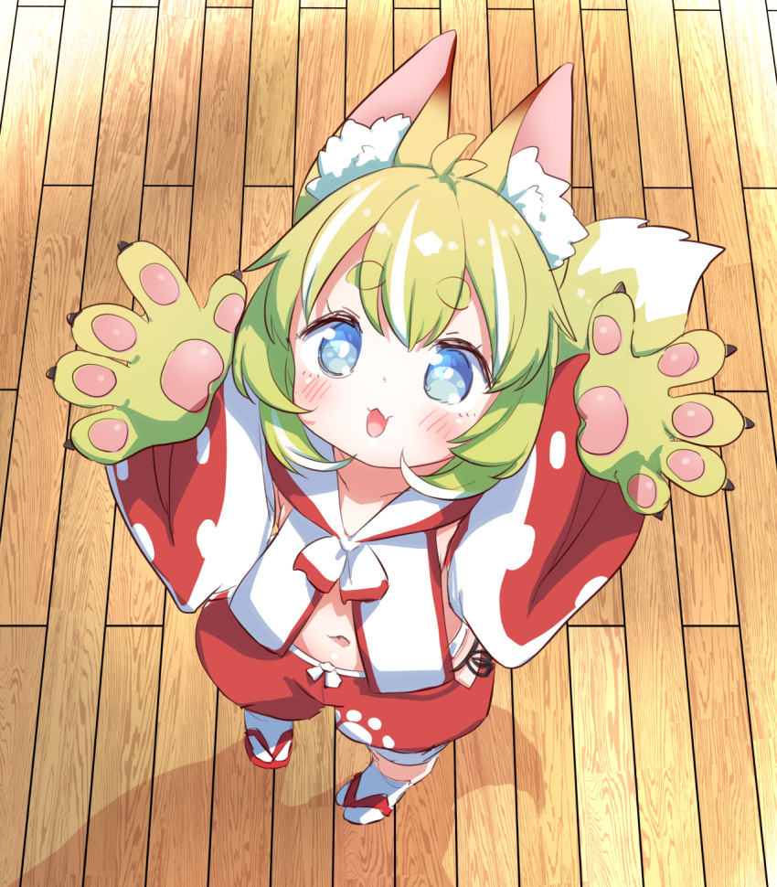 1girl :3 animal_ears animal_hands bad_id bad_misskey.io_id blue_eyes blush claws detached_sleeves done_(donezumi) fang fox_ears fox_tail full_body green_hair highres japanese_clothes looking_at_viewer looking_up multicolored_hair navel open_mouth original outstretched_hand pawpads puffy_shorts red_shorts sandals shorts skin_fang solo stomach streaked_hair tabi tail webp-to-png_conversion white_hair wooden_floor