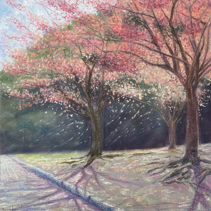 autumn_leaves cherry_blossoms dappled_sunlight day highres no_humans norako_pastel original path plant scenery shadow sunlight tree tree_shade