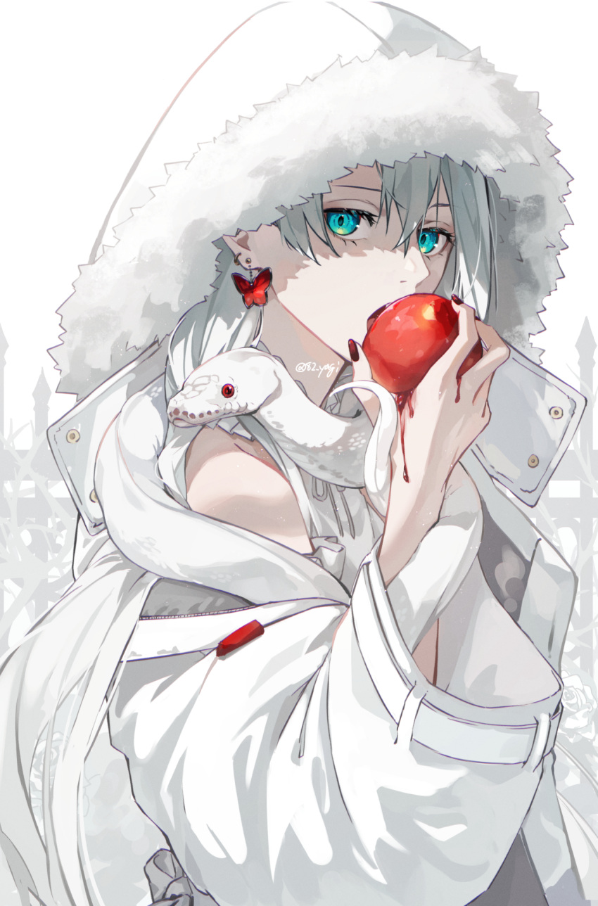 1girl animal apple aqua_eyes blood butterfly_earrings coat earrings eating food fruit fur_trim highres holding holding_food holding_fruit hood hooded_coat jewelry long_hair long_sleeves looking_at_viewer nail_polish off_shoulder open_mouth original red_eyes red_nails single_bare_shoulder snake solo spot_color twitter_username upper_body white_background white_coat white_hair wide_sleeves yagi_(shiro_yagi)