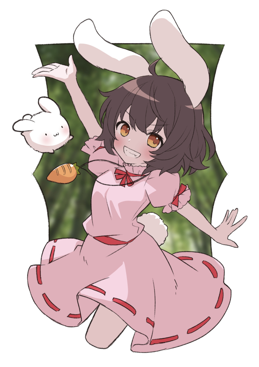 1girl :3 :d ahase_hino ahoge animal_ears arm_up arms_behind_back bamboo bamboo_forest black_hair blurry blurry_background blush bob_cut border breasts brown_eyes carrot_necklace commentary dress forest grin highres inaba_tewi jewelry looking_at_viewer nature neck_ribbon necklace outside_border outstretched_arms pink_dress puffy_short_sleeves puffy_sleeves rabbit rabbit_ears rabbit_girl rabbit_tail red_ribbon ribbon short_hair short_sleeves small_breasts smile smug solo tail touhou v-shaped_eyebrows white_border white_rabbit_(alice_in_wonderland)