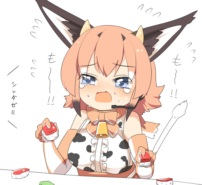 1girl animal_ears animal_print bare_shoulders bell blue_eyes caracal_(kemono_friends) cat_ears cat_girl cat_tail commentary_request cow_horns cow_print cowbell elbow_gloves extra_ears food gloves horns kemono_friends kemono_friends_v_project lets0020 long_hair microphone orange_hair shirt simple_background sleeveless sleeveless_shirt solo sushi tail tears translation_request upper_body virtual_youtuber