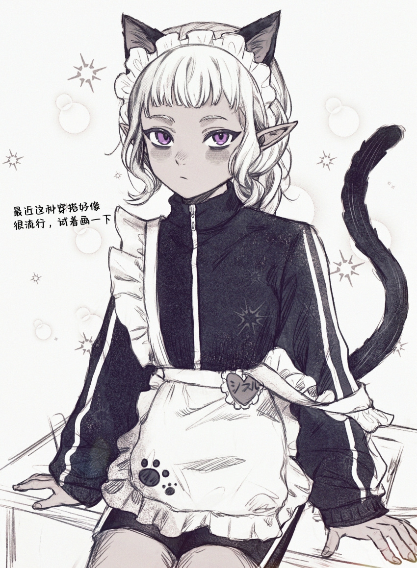 1boy absurdres alternate_costume androgynous animal_ears apron arm_support black_jacket black_shorts cat_boy cat_ears cat_tail chinese_commentary chinese_text commentary_request cowboy_shot dungeon_meshi elf expressionless frilled_apron frills highres jacket kemonomimi_mode limited_palette long_sleeves looking_at_viewer maid_apron maid_headdress male_focus navia84789947 otoko_no_ko paw_print pointy_ears short_bangs short_hair shorts sitting solo strap_slip tail thistle_(dungeon_meshi) track_jacket translation_request violet_eyes white_apron white_background white_hair zipper