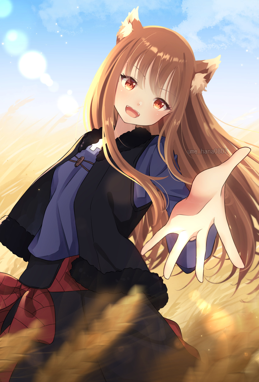 1girl :d absurdres animal_ear_fluff animal_ears black_skirt black_vest blue_shirt blurry blush brown_hair commentary_request cowboy_shot day depth_of_field eyelashes fangs floating_hair fur-trimmed_vest fur_trim hair_between_eyes happy highres holo light_particles long_hair long_sleeves looking_at_viewer nanon0804 open_mouth outdoors reaching reaching_towards_viewer red_eyes shirt sidelocks skirt smile solo spice_and_wolf straight_hair tail tsurime vest wheat_field wolf_ears wolf_girl wolf_tail