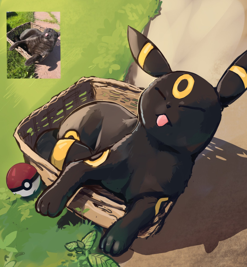basket chufflepop closed_eyes grass highres leaf lying no_humans outdoors photo_inset plant poke_ball pokemon pokemon_(creature) reference_inset shadow tongue tongue_out umbreon