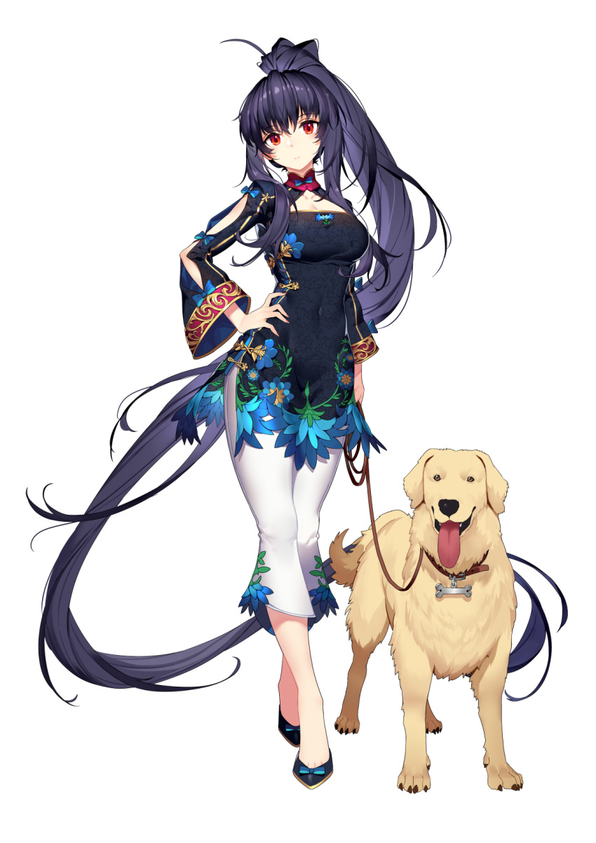 1girl 1other absurdly_long_hair animal_collar animal_ears aqua_bow aqua_bowtie arm_at_side artist_request black_sleeves blade_(final_gear) blue_hair bone_ornament bow bowtie breasts china_dress chinese_clothes cleavage_cutout closed_mouth clothing_cutout collar collarbone covered_navel dark_blue_hair dog dog_ears dog_nose dog_tail dress final_gear flats floral_print_dress floral_print_sleeves footwear_bow full_body half_updo hand_on_own_hip head_tilt high_ponytail highres holding holding_leash hole labrador_retriever leash long_hair long_sidelocks medium_breasts no_socks official_art open_mouth pants ponytail red_collar red_eyes sidelocks simple_background sleeve_bow solo standing tachi-e tail teeth third-party_source tongue tongue_out transparent_background very_long_hair white_pants