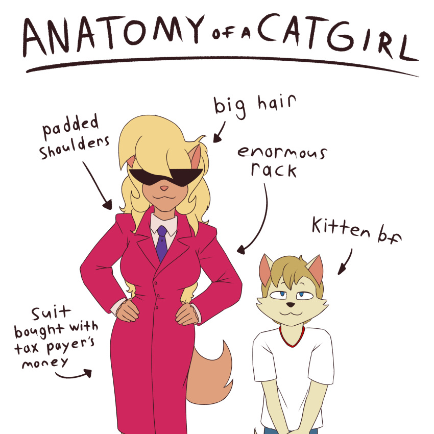 1boy 1girl age_difference anatomy_of_a_gamer_(meme) animal_ears artist_request callie_briggs cat_ears cat_tail furry glasses highres looking_at_viewer meme onee-shota simple_background solo sunglasses swat_kats tail white_background