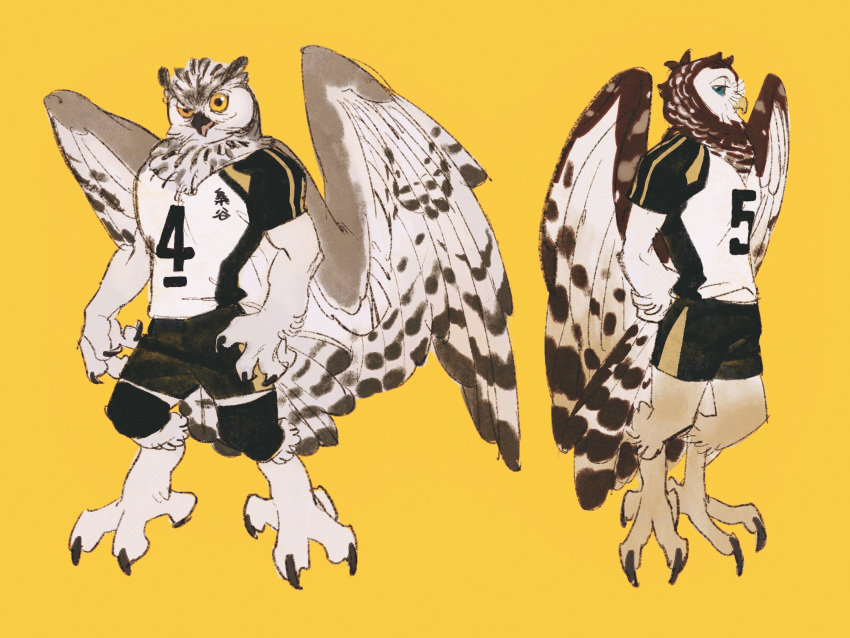 2boys akaashi_keiji animal_feet animal_focus animal_hands arms_behind_back bird_tail bird_wings black_shorts blue_eyes bokuto_koutarou brown_feathers brown_wings chengongzi123 claws closed_mouth commentary feathered_wings feathers full_body furrification furry furry_male haikyuu!! highres knee_pads looking_at_viewer male_focus multiple_boys open_mouth owl_boy short_sleeves shorts simple_background sportswear standing symbol-only_commentary tail talons volleyball_uniform wings yellow_background yellow_eyes