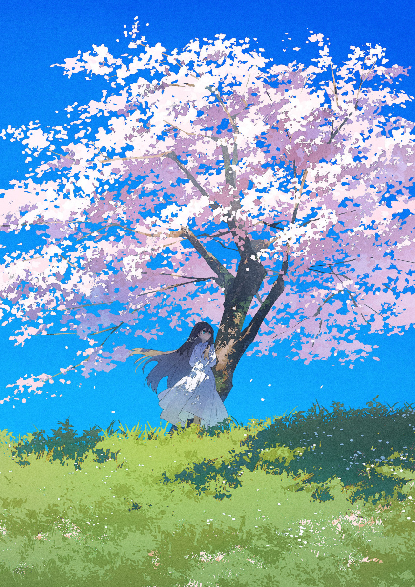 1girl absurdres arms_behind_back black_hair blue_eyes blue_sky cherry_blossoms commentary_request dress falling_petals grass highres long_hair original petals potg_(piotegu) sky solo standing tree white_dress