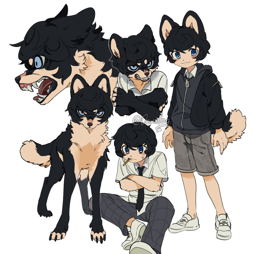 1boy :3 animal animal_ears animalization artist_name black_fur black_jacket blue_eyes body_fur bright_pupils brown_fur clenched_teeth closed_mouth collared_shirt deviidog0 dog dog_boy dog_ears dog_tail full_body furry furry_male grey_shorts highres jacket long_sleeves looking_at_viewer male_focus mouth_hold multiple_views original shirt shoes short_eyebrows shorts simple_background sitting smile sneakers standing tail teeth twitter_username white_background white_pupils
