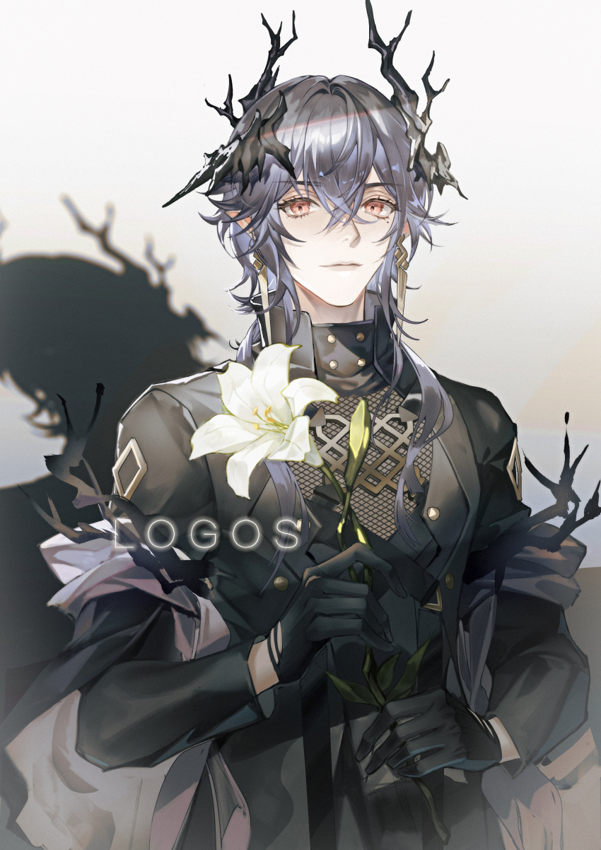 1boy absurdres arknights bingxiaojian bishounen black_gloves black_horns black_shirt black_sleeves character_name closed_mouth collared_shirt commentary cowboy_shot dangle_earrings dragon_horns earrings eyelashes flower gloves grey_background grey_hair hashtag-only_commentary highres holding holding_flower horns jewelry lily_(flower) logos_(arknights) long_sleeves looking_at_viewer male_focus mole mole_under_eye pink_eyes pointy_ears purple_shawl shadow shawl shirt short_hair_with_long_locks sidelocks simple_background smile solo tassel tassel_earrings wavy_hair white_flower