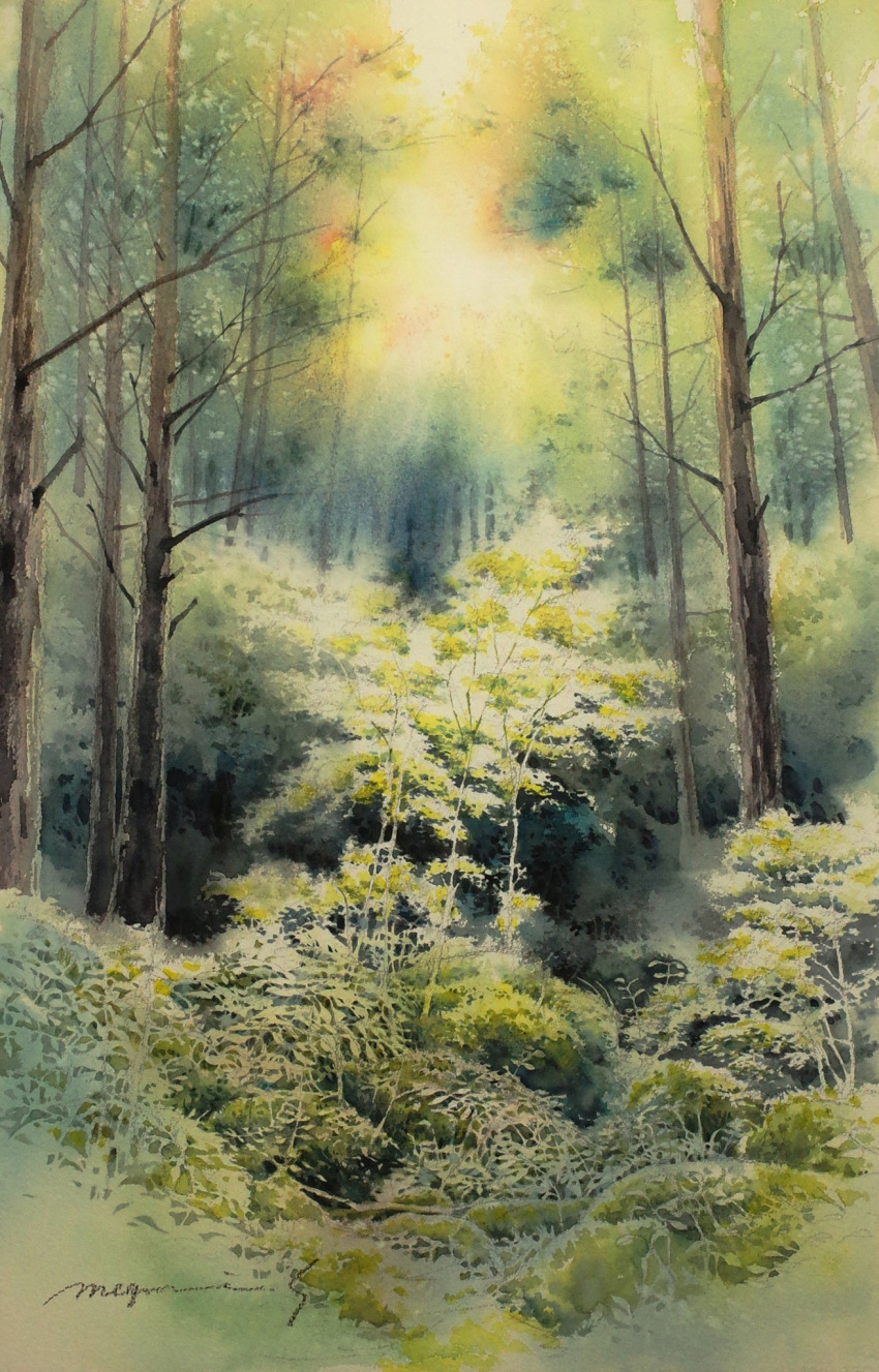 bare_tree bush dappled_sunlight day forest highres nature no_humans original painting_(medium) plant sapling scenery shimizu_megumi_(m_acquerello) sunlight traditional_media tree watercolor_(medium)