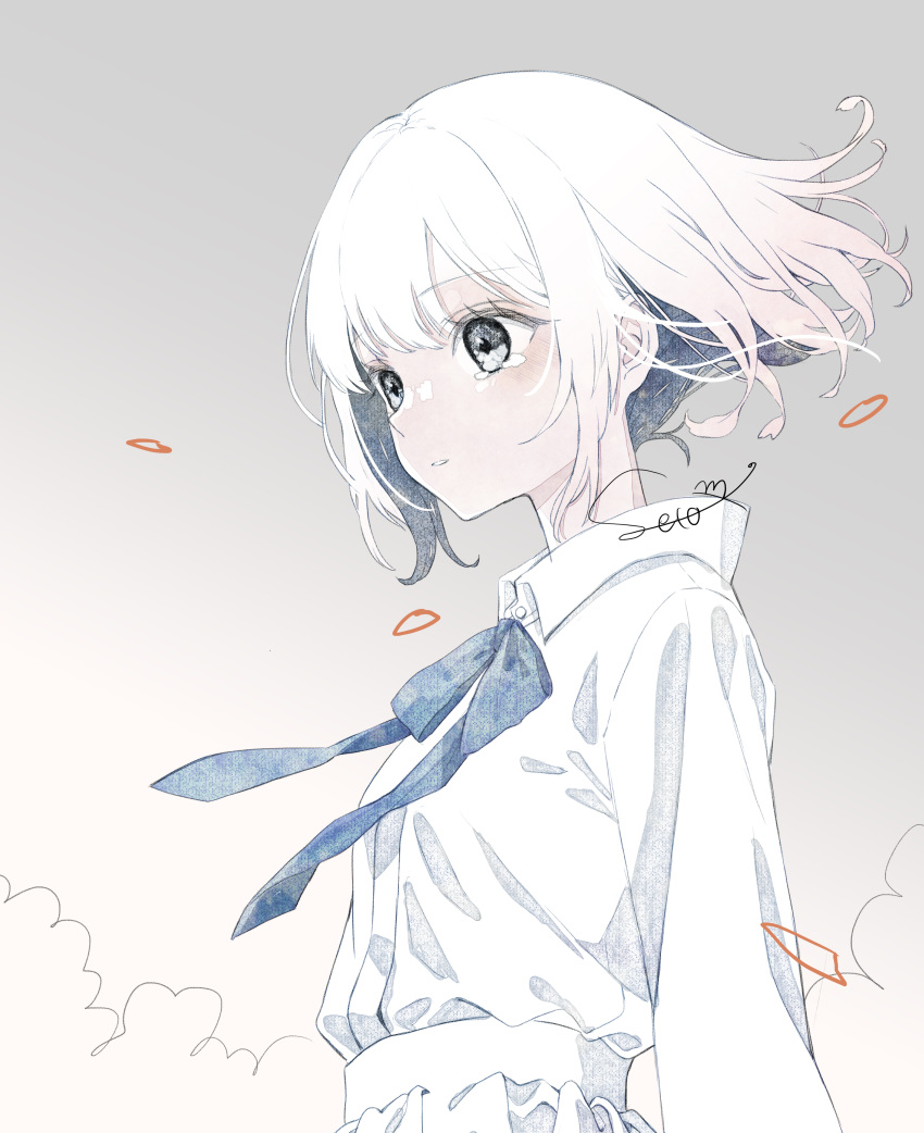 1girl absurdres blue_ribbon breasts collared_shirt from_side grey_background grey_eyes highres long_sleeves neck_ribbon original oseto_(oxxsexxto) parted_lips petals ribbon shirt short_hair signature small_breasts solo tears unfinished upper_body white_hair white_shirt wind