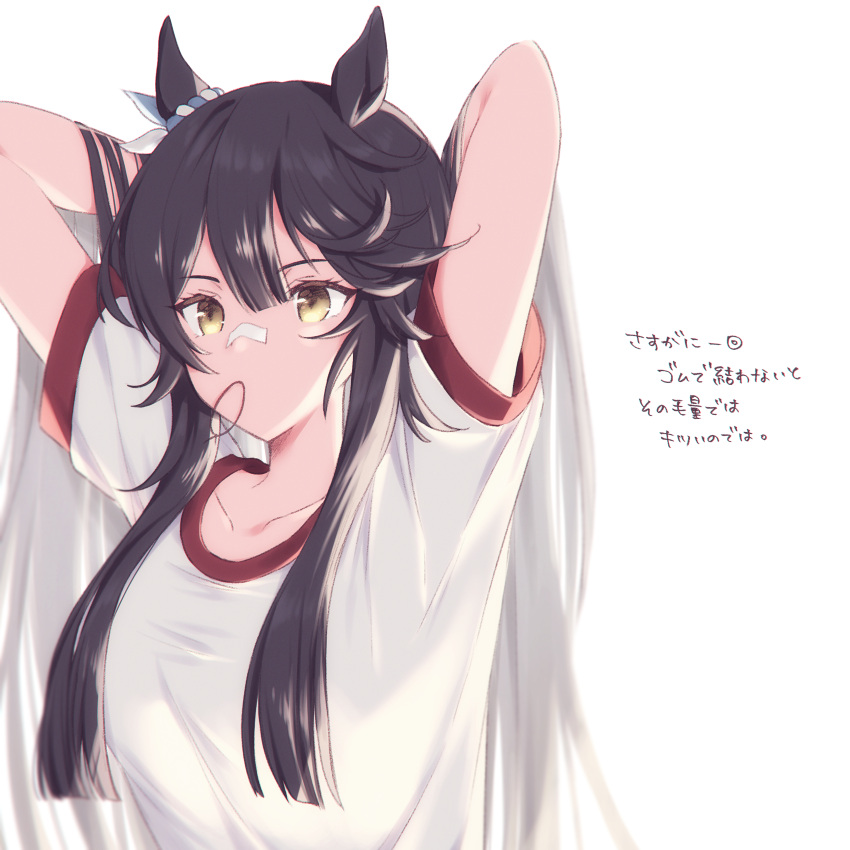 1girl absurdres animal_ears arm_up arms_behind_head arms_up bandaid bandaid_on_face bandaid_on_nose black_hair breasts closed_mouth collarbone commentary_request hair_between_eyes highres horse_ears horse_girl large_breasts long_hair mouth_hold narita_brian_(umamusume) ponytail shirt simple_background solo tetora_(oudonoishiize) tracen_training_uniform translation_request umamusume upper_body very_long_hair white_background white_shirt yellow_eyes