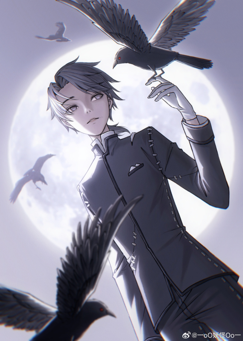 1boy aesop_carl bird bird_on_hand cowboy_shot crow curtained_hair dutch_angle full_moon gloves grey_eyes grey_hair grey_jacket grey_pants hand_up highres identity_v jacket long_sleeves looking_at_animal low_ponytail male_focus medium_hair moon night oomonsteroo pants parted_bangs parted_lips pocket_square sideways_glance sleeve_cuffs solo standing stitched_mouth stitches stuffing weibo_logo weibo_watermark white_gloves