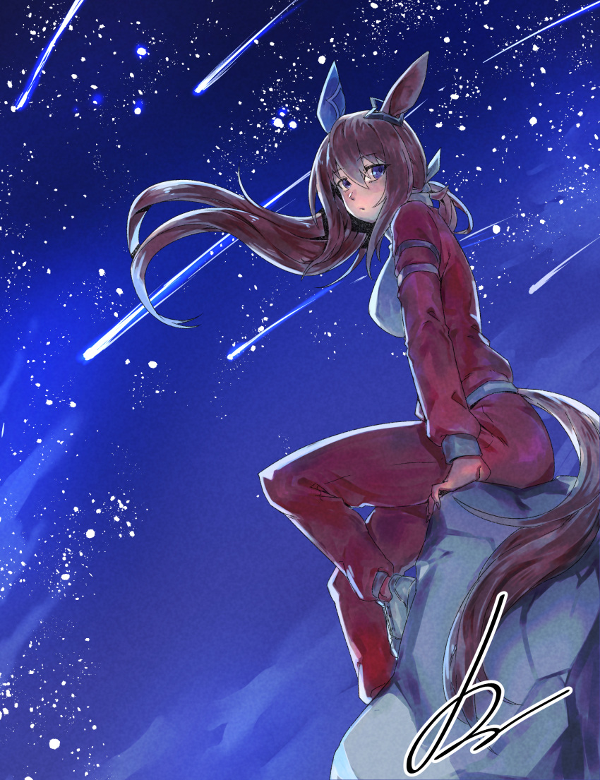 1girl absurdres admire_vega_(umamusume) against_rock animal_ears blush bow breasts closed_mouth commentary_request ear_covers full_body hair_between_eyes highres horse_ears horse_girl horse_tail jacket long_hair long_sleeves medium_breasts minew mixed-language_commentary night night_sky outdoors pants ponytail signature single_ear_cover sky solo star_(sky) starry_sky tail tracen_training_uniform track_jacket track_pants umamusume violet_eyes white_bow white_footwear