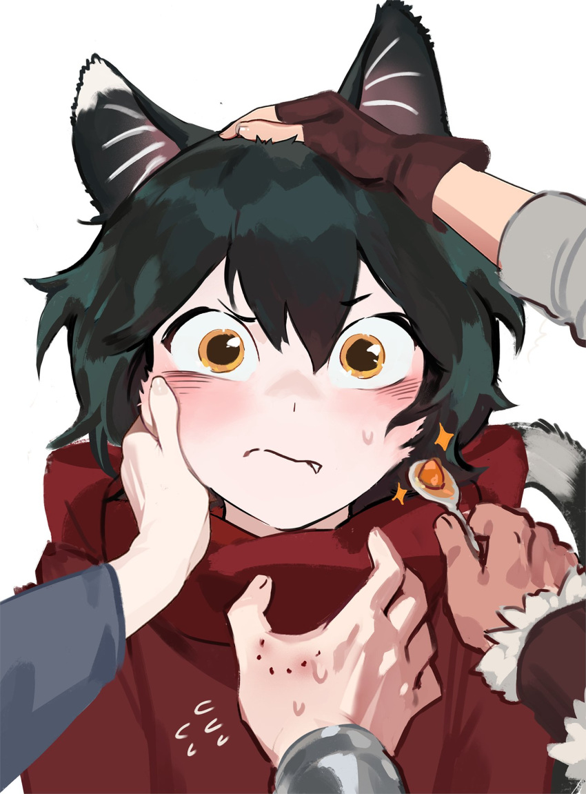 2girls 3boys :/ animal_ears bite_mark black_hair blush brown_gloves cat_ears chilchuck_tims dungeon_meshi fang feeding fingerless_gloves foolish_potato gloves hand_on_another's_cheek hand_on_another's_face hand_on_another's_head headpat highres holding holding_spoon izutsumi laios_touden looking_at_viewer marcille_donato multiple_boys multiple_girls red_scarf scarf senshi_(dungeon_meshi) short_hair simple_background solo_focus spoon straight-on upper_body white_background