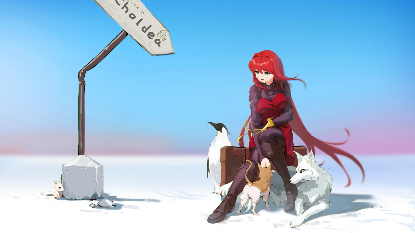 1girl absurdres animal aozaki_aoko bird blue_eyes boots breasts cat chinese_commentary english_commentary highres long_hair mahou_tsukai_no_yoru mixed-language_commentary mouse_(animal) outdoors penguin redhead sitting smile solo suitcase ushas wolf