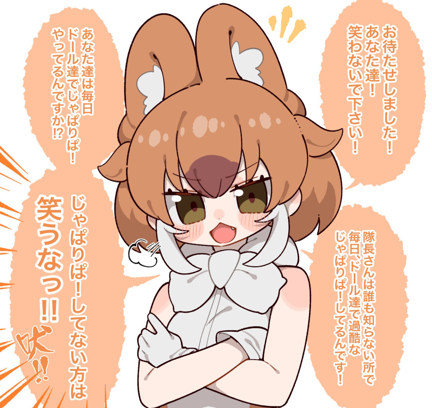 1girl animal_ears bow bowtie brown_eyes brown_hair dhole_(kemono_friends) extra_ears gloves highres kemono_friends looking_at_viewer multicolored_hair notora shirt short_hair simple_background sleeveless sleeveless_shirt solo translation_request two-tone_hair upper_body white_hair wolf wolf_girl