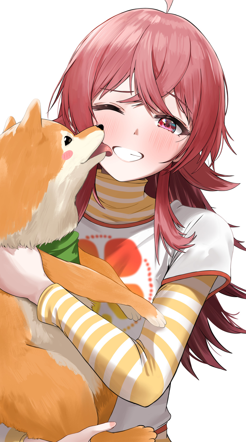 1girl absurdres ahoge animal blush commentary crossed_bangs dog hair_between_eyes highres holding holding_animal idolmaster idolmaster_shiny_colors komiya_kaho licking licking_another's_cheek licking_another's_face long_sleeves looking_at_viewer medium_hair one_eye_closed pdal_(pdalhhh) red_eyes redhead shiba_inu shirt simple_background smile striped_clothes striped_shirt turtleneck turtleneck_shirt upper_body white_background white_shirt yellow_shirt yellow_stripes