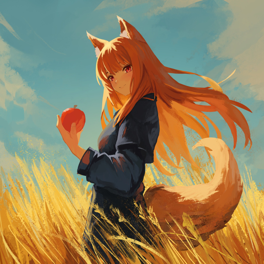 1girl absurdres animal_ear_fluff animal_ears apple blue_shirt blue_skirt blush brown_hair closed_mouth clouds cowboy_shot day floating_hair food from_side fruit hand_up highres holding holding_food holding_fruit holo long_hair long_sleeves outdoors red_eyes shirt skirt smile solo spice_and_wolf split_mouth standing tail wheat_field wolf_ears wolf_girl wolf_tail yan_kodiac