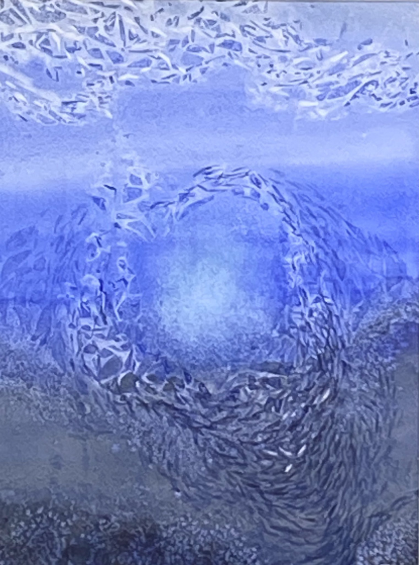 animal blue_background fish highres no_humans ocean original painting_(medium) realistic still_life traditional_media underwater water watercolor_(medium) yu_grassbird