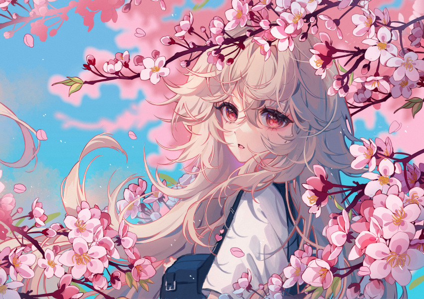 1girl absurdres bag blue_bag branch cherry_blossoms commentary english_commentary flower from_side grey_hair hair_between_eyes highres long_hair looking_at_viewer open_mouth original pink_flower red_eyes shirt shoulder_bag solo touya_(touyachann) upper_body white_shirt