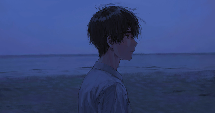 1boy absurdres black_hair blurry brown_eyes closed_mouth collared_shirt dark depth_of_field expressionless from_side highres looking_ahead male_focus night night_sky ocean original portrait shirt short_hair sky solo white_shirt wind yuikawa_(00hyr)