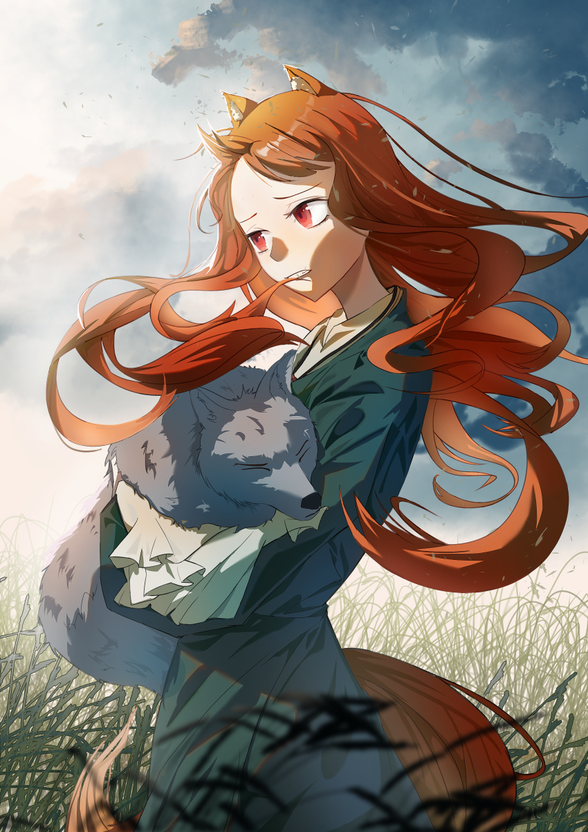 1girl absurdres animal animal_ears blurry brown_hair clenched_teeth closed_eyes clouds cloudy_sky commentary_request cowboy_shot day depth_of_field dress floating_hair from_side grass green_dress grey_wolf highres holding holding_animal holo long_dress long_hair looking_afar outdoors red_eyes sky solo spice_and_wolf tail teeth user_zfks3237 wind wolf wolf_ears wolf_girl wolf_tail
