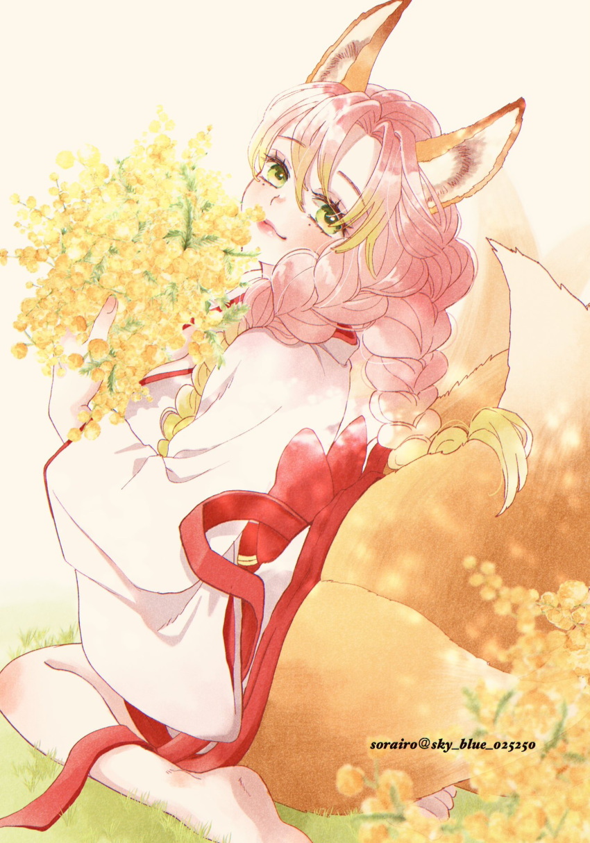 1girl alternate_costume animal_ear_fluff animal_ears barefoot bouquet bow braid closed_mouth fingernails flower fox_ears fox_girl fox_tail from_behind gradient_hair grass green_eyes green_hair hair_between_eyes hair_over_shoulder highres holding holding_bouquet japanese_clothes kanroji_mitsuri kemonomimi_mode kimetsu_no_yaiba kimono long_hair long_sleeves looking_at_viewer looking_back mole mole_under_eye multicolored_hair multiple_tails obi on_ground pink_hair red_bow sash sitting sky_blue_025250 smile soles solo tail twitter_username two-tone_hair wariza white_background white_kimono yellow_flower