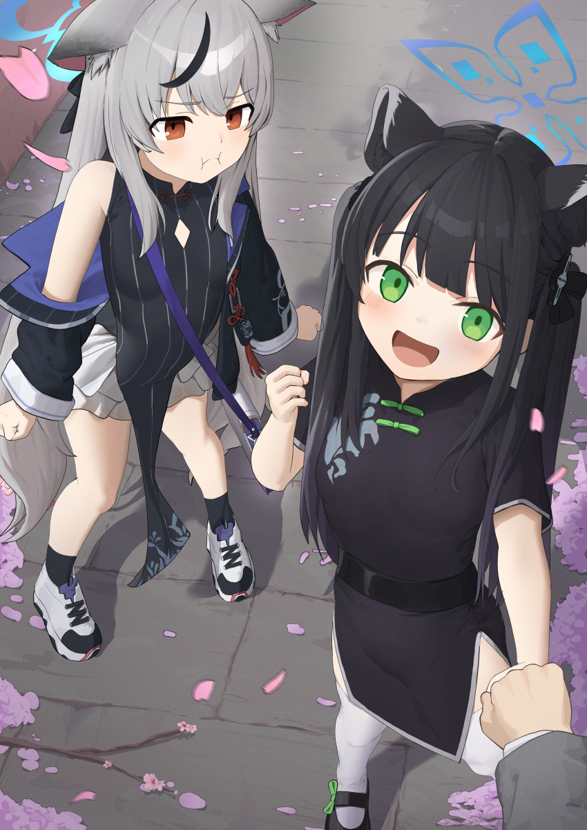 1boy 2girls absurdres animal_ears black_dress black_footwear black_hair black_jacket black_socks blue_archive blue_halo blush breasts cherry_blossoms china_dress chinese_clothes closed_mouth dress green_eyes grey_hair halo highres hub_(havu_obi) jacket kokona_(blue_archive) long_hair long_sleeves multicolored_hair multiple_girls open_mouth orange_eyes petals pout shoes short_sleeves shun_(blue_archive) shun_(small)_(blue_archive) small_breasts smile socks streaked_hair striped_clothes striped_dress thigh-highs tiger_ears twintails vertical-striped_clothes vertical-striped_dress white_footwear white_thighhighs