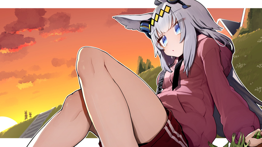 1girl absurdres animal_ears clouds cloudy_sky commentary_request commission day ear_ornament gym_shorts gym_uniform hair_ornament highres horse_ears horse_girl jacket leaning_back long_hair long_sleeves looking_at_viewer oguri_cap_(umamusume) orange_sky outdoors parted_lips red_jacket red_shorts shorts sitting skeb_commission sky solo sunset tamukoro track_jacket umamusume