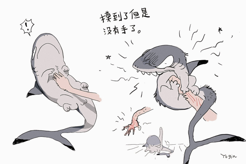 ! animal_focus artist_name chinese_text closed_eyes closed_mouth commentary english_commentary frown highres licking original scratches shark sharp_teeth simple_background spoken_exclamation_mark star_(symbol) teeth translation_request white_background wide-eyed yogin