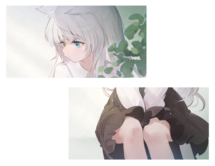 1girl absurdres animal_ears black_dress blue_eyes cat_ears chiyuki0321 closed_mouth commentary_request dress heterochromia highres light_particles long_hair long_sleeves looking_down multiple_views original plant shirt sitting white_hair white_shirt yellow_eyes