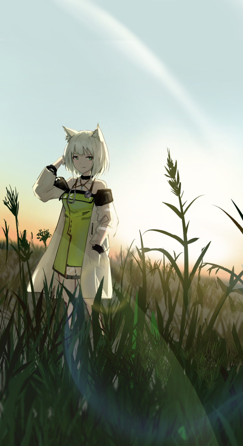1girl animal_ear_fluff animal_ears arknights arm_up backlighting bare_shoulders bloom cat_ears cat_girl chinese_commentary closed_mouth coat commentary_request dress field full_body green_dress green_eyes hand_in_own_hair hand_in_pocket highres kal'tsit_(arknights) lab_coat lens_flare long_sleeves looking_at_viewer off_shoulder open_clothes open_coat outdoors plant short_hair smile solo standing stethoscope sunlight white_coat white_hair xi_zhi_hergoth