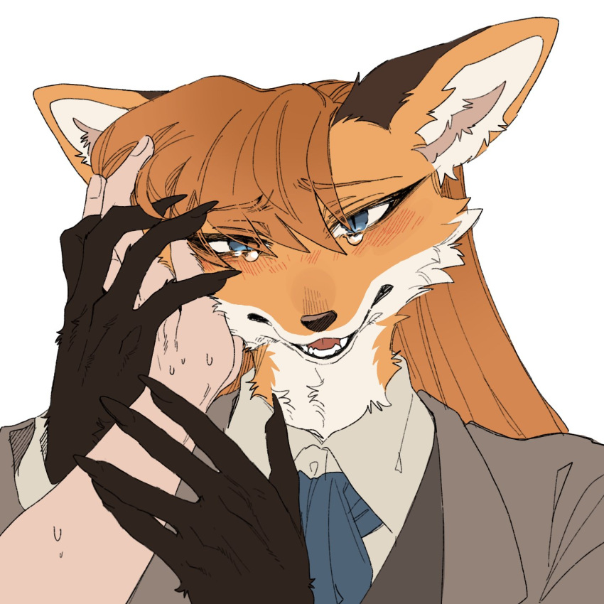 1girl animal_ears blue_eyes blue_necktie body_fur brown_jacket brown_vest claws collared_jacket collared_shirt commentary_request disembodied_limb fox_ears fox_girl furry furry_female hand_on_another's_face highres jacket long_hair looking_at_viewer necktie open_mouth orange_fur orange_hair original pov rata_(norahasu) shirt simple_background slit_pupils tearing_up upper_body vest white_background