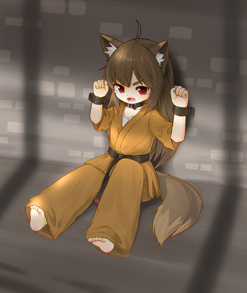 1girl ahoge animal_ear_fluff animal_ears barefoot belt black_belt black_collar black_wrist_cuffs brown_hair brown_pants chinese_commentary collar commentary_request dougi fang feet fox_ears fox_girl full_body highres indoors karate kuma-bound long_hair martial_arts_belt open_mouth original pants red_eyes restrained sitting skin_fang soles solo tail tearing_up teeth toes wrist_cuffs