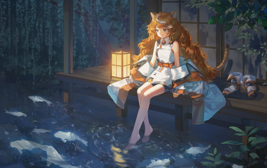 1girl absurdres animal_ears bare_legs barefoot belt black_shorts blush closed_mouth collared_dress commentary commission dress ema3 english_commentary fish green_eyes highres indie_virtual_youtuber jacket jacket_partially_removed lantern long_hair looking_down moofie_(vtuber) orange_belt orange_footwear orange_gemstone orange_hair paper_lantern plant shoes short_shorts shorts sitting sleeveless sleeveless_dress smile soaking_feet solo tail tiger_ears tiger_girl tiger_tail tree unworn_shoes very_long_hair water white_dress white_hair white_jacket
