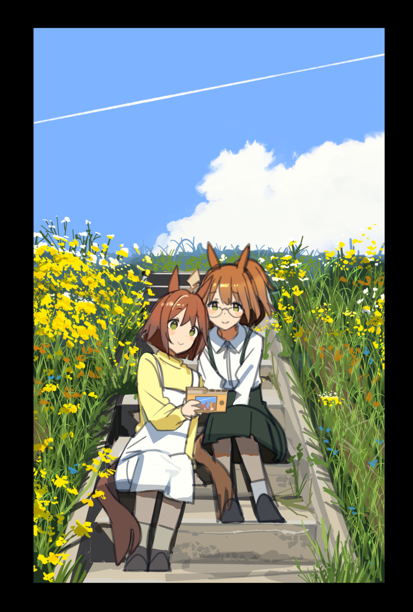 2girls absurdres ahoge animal_ears ashinowoto aston_machan_(umamusume) breasts brown_hair casual closed_mouth clouds commentary_request contrail field flower flower_field glasses green_eyes highres holding horse_ears horse_girl medium_breasts multiple_girls photo_album rhein_kraft_(umamusume) shoes sitting sitting_on_stairs sky smile stairs umamusume