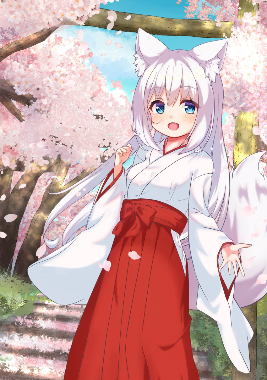 1girl :d absurdres animal_ears blue_sky bow branch breasts clouds commentary_request day flower fox_ears fox_girl fox_tail hair_between_eyes hakama hakama_skirt highres hip_vent japanese_clothes kimono long_hair long_sleeves looking_at_viewer miko original outdoors petals pink_flower red_bow red_hakama roicede skirt sky small_breasts smile solo stairs stone_stairs tail tree very_long_hair white_hair white_kimono wide_sleeves