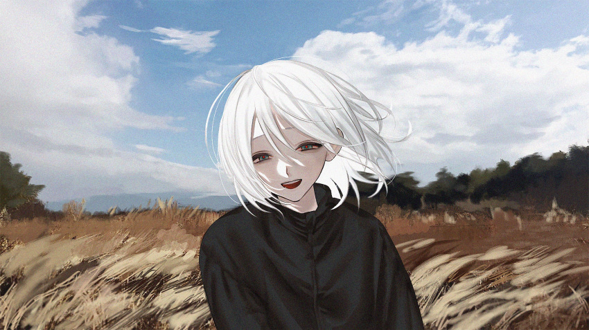 1girl arms_at_sides black_jacket blue_eyes blue_sky clouds cloudy_sky commentary dry_grass field floating_hair grass half-closed_eyes head_tilt highres jacket long_sleeves looking_at_viewer medium_hair original outdoors red_pupils riroi_(rntr_ll) sky smile solo tall_grass teeth upper_body upper_teeth_only white_hair wind