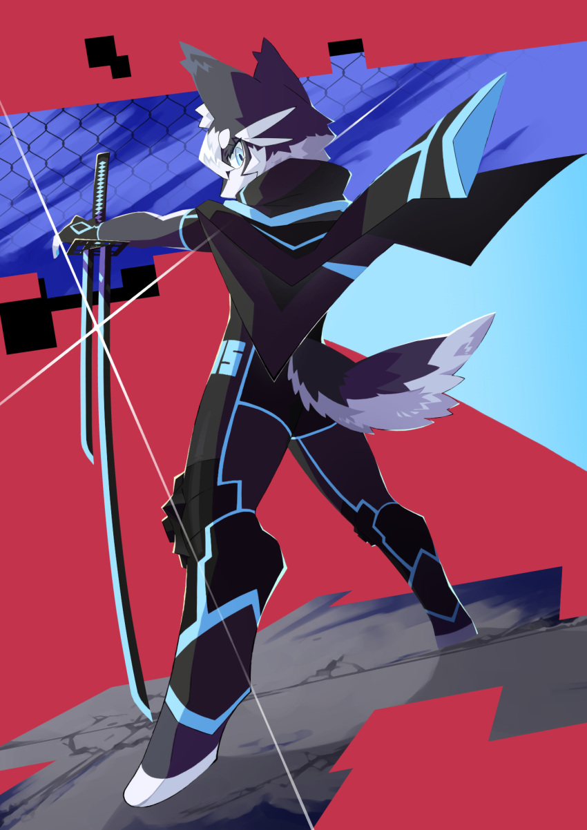 1boy animal_ears black_fur black_hair blue_eyes body_fur colored_tips commentary_request digitigrade dog_boy dog_ears dog_tail from_behind full_body furry furry_male glint highres holding holding_sword holding_weapon jacket jacket_on_shoulders katana knee_pads looking_at_viewer looking_back male_focus multicolored_hair original red_background saadiya74 short_hair solo standing sword tail weapon white_fur white_hair wind