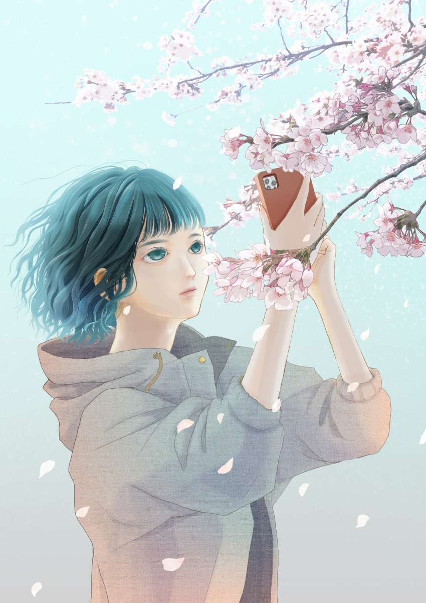 1girl absurdres blue_background blue_eyes blue_hair branch cellphone cherry_blossoms closed_mouth drawstring eyelashes fingernails grey_hoodie highres holding holding_phone hood hood_down hoodie ikuminimam long_sleeves open_clothes open_hoodie original petals phone short_hair smartphone solo upper_body