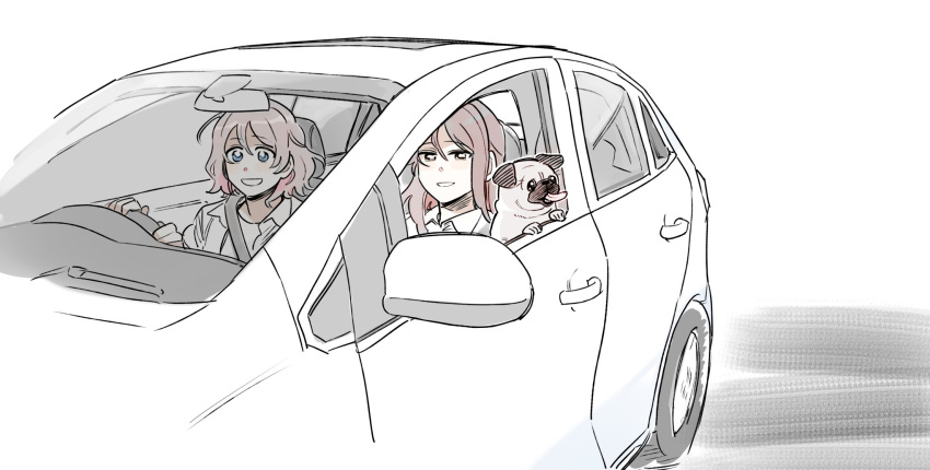 2girls blue_eyes cat collared_shirt commentary_request dog driving grey_hair highres korean_commentary love_live! love_live!_sunshine!! medium_hair multiple_girls open_mouth parted_lips pito_(sh02327) pug redhead sakurauchi_riko seatbelt shirt simple_background smile watanabe_you white_background