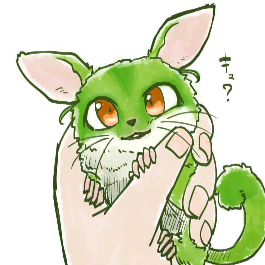 1other ambiguous_gender animal animal_request animalization commentary_request creature green_fur highres holding holding_animal in_palm kuron_(uhhr2odhrppc5nw) looking_at_viewer mouse orange_eyes out_of_frame pov pov_hands simple_background translation_request voiceroid zundamon