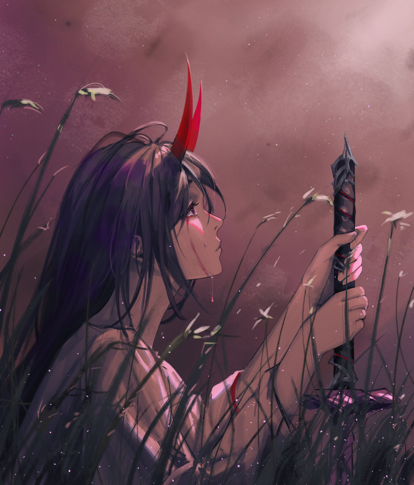 1girl absurdres acheron_(honkai:_star_rail) arms_up blood blood_from_eyes crying crying_with_eyes_open grass highres holding holding_sword holding_weapon honkai:_star_rail honkai_(series) horns japanese_clothes long_hair looking_up luxearte profile purple_hair red_horns solo sword tears upper_body weapon