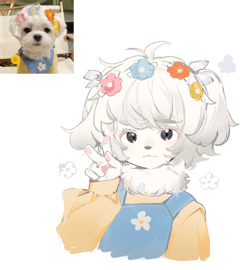 1girl absurdres antenna_hair arin_(fanfan013) black_eyes blue_flower blue_overalls bow collar colored_eyelashes commentary cropped_torso dog_girl floral_print flower fur_collar furry furry_female hair_bow hair_flower hair_ornament highres long_sleeves looking_at_viewer orange_flower original overalls pawpads personification pink_flower puffy_long_sleeves puffy_sleeves purple_flower reference_inset shirt short_hair simple_background snout solo symbol-only_commentary two_side_up v white_background white_bow white_collar white_flower white_hair yellow_flower yellow_shirt yellow_sleeves